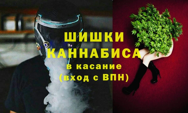 дживик Березники