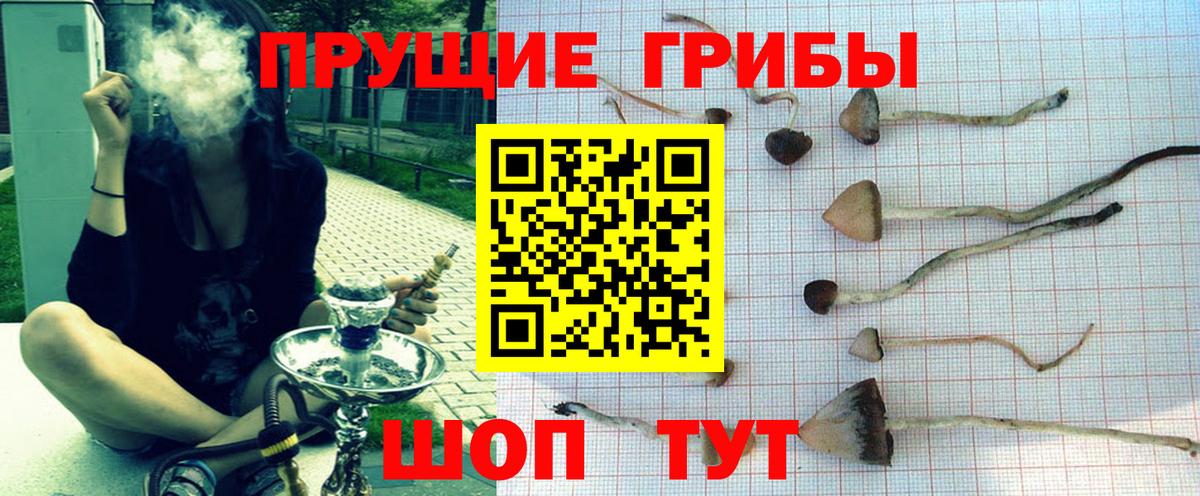 Шумерля  Псилоцибиновые грибы MAGIC MUSHROOMS  наркота  Вход с VPN 