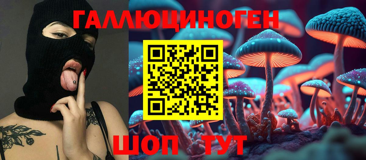Галлюциногенные грибы мицелий Шумерля